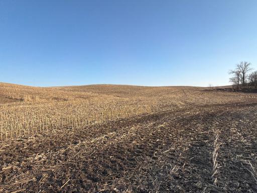 TBD County Road 3, Zumbro Falls, MN 55991