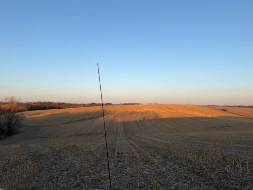 TBD County Road 3, Zumbro Falls, MN 55991