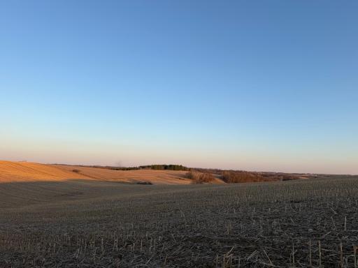 TBD County Road 3, Zumbro Falls, MN 55991