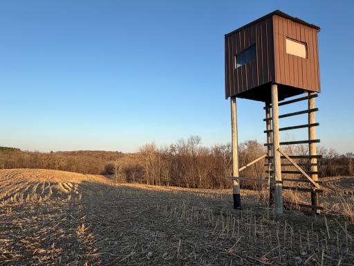 TBD County Road 3, Zumbro Falls, MN 55991