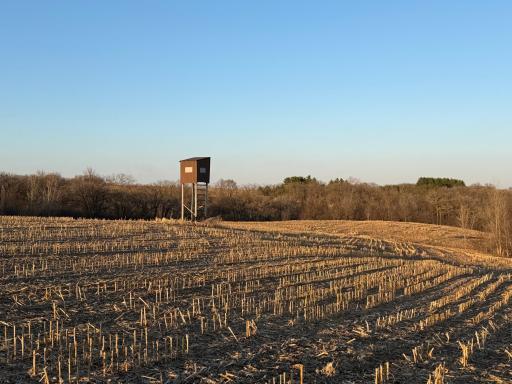 TBD County Road 3, Zumbro Falls, MN 55991