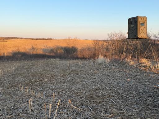 TBD County Road 3, Zumbro Falls, MN 55991