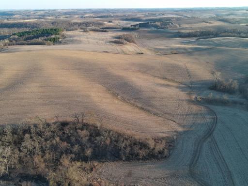TBD County Road 3, Zumbro Falls, MN 55991