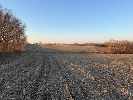 TBD County Road 3, Zumbro Falls, MN 55991