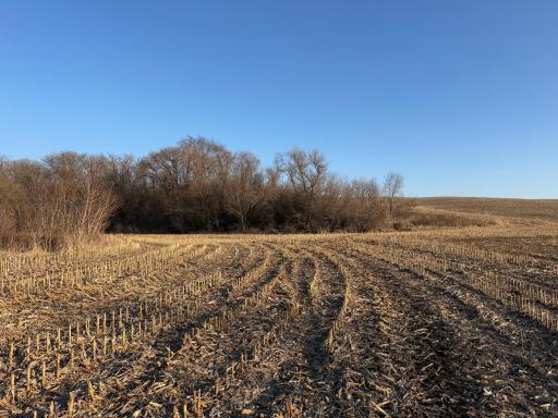 TBD County Road 3, Zumbro Falls, MN 55991