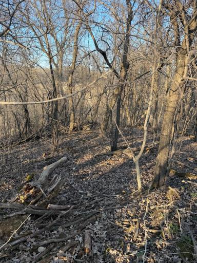 TBD County Road 3, Zumbro Falls, MN 55991