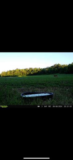 TBD County Road 3, Zumbro Falls, MN 55991