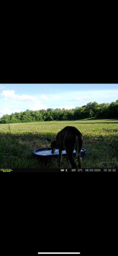 TBD County Road 3, Zumbro Falls, MN 55991