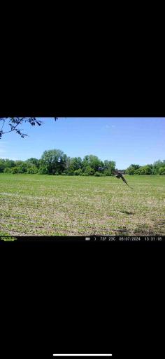 TBD County Road 3, Zumbro Falls, MN 55991
