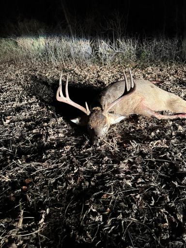 TBD County Road 3, Zumbro Falls, MN 55991
