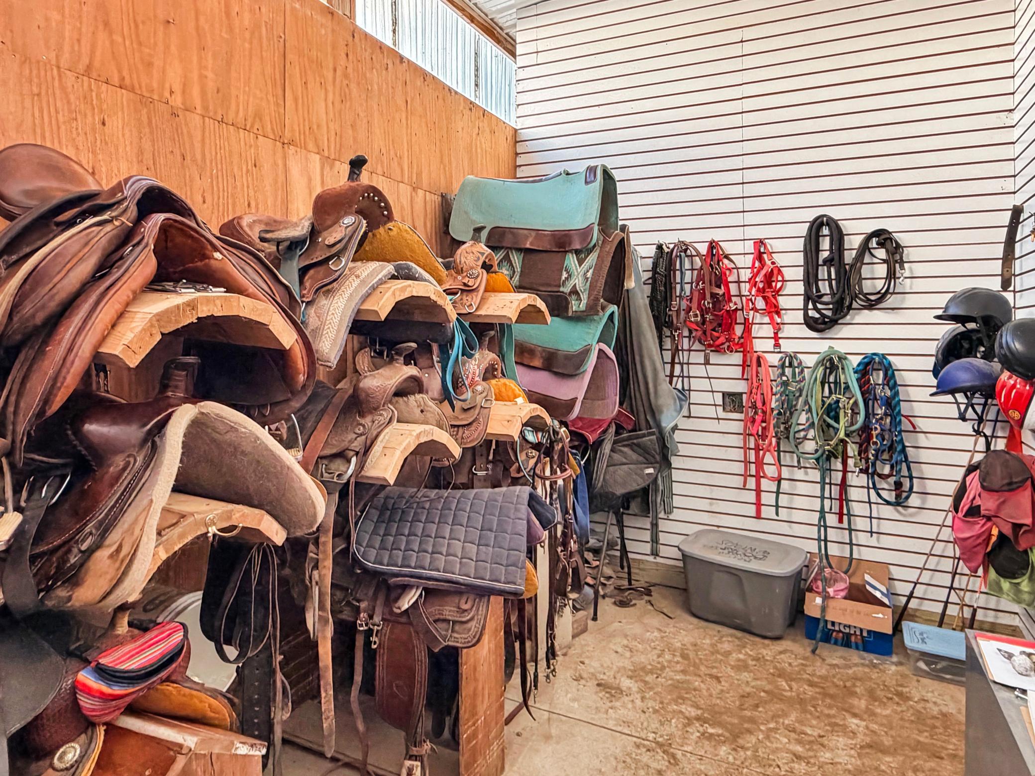 Saddle up!