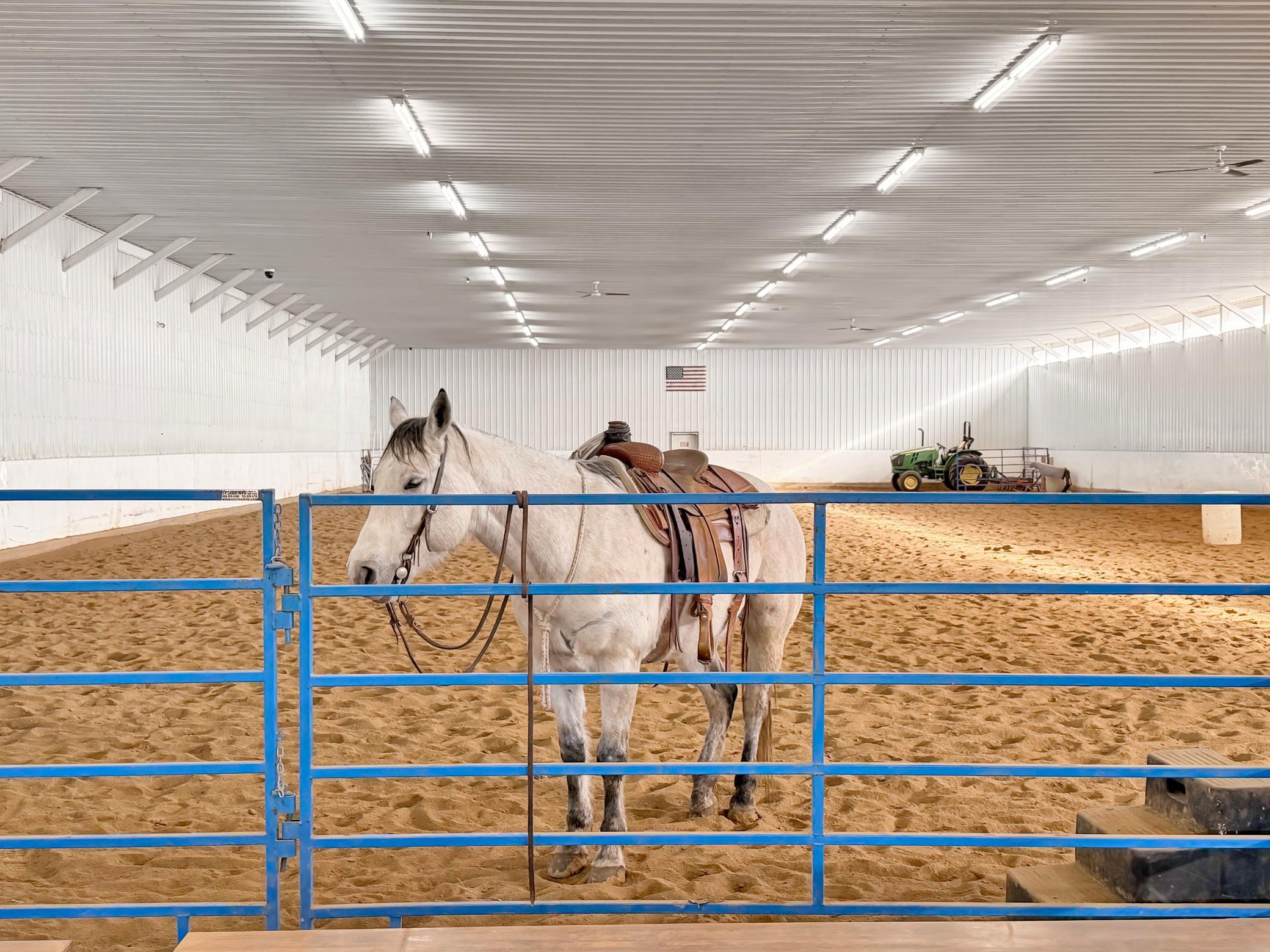 Horsin' around