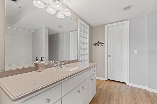 Lower level Bathroom