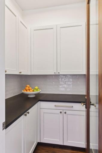 Walk-in Pantry