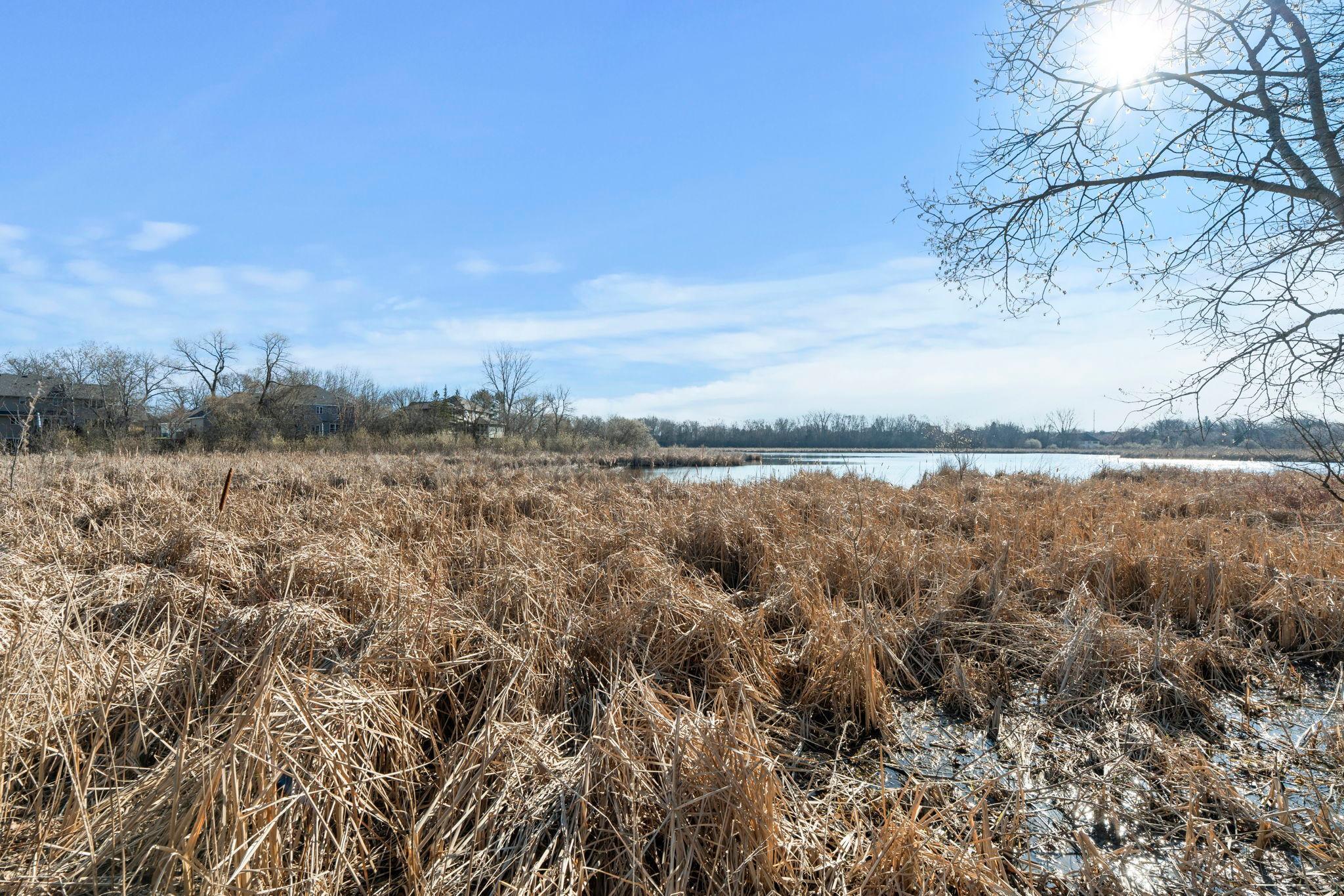 This will be so gorgeous in 4 weeks...