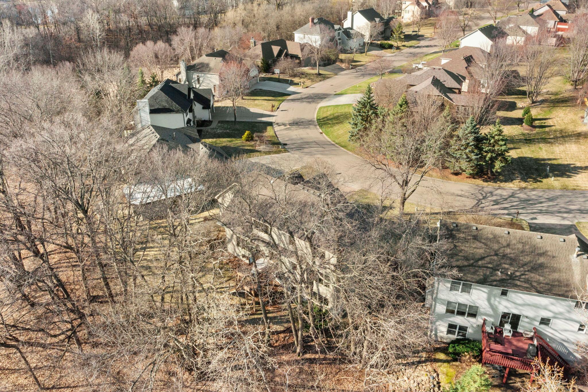 Quiet street along wetlands