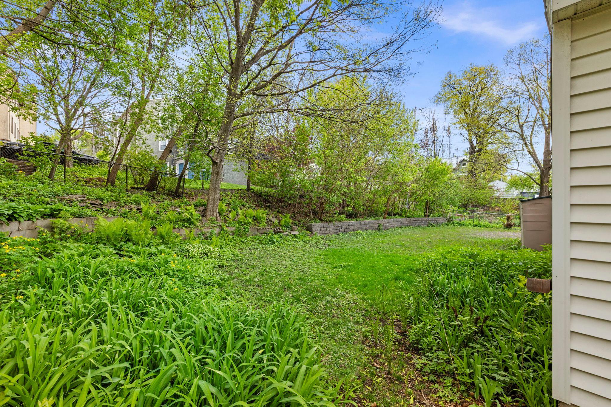 Pretty backyard