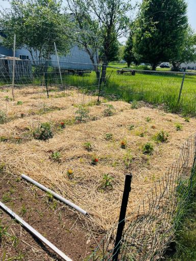 37728 Hawthorne Avenue, North Branch, MN 55056