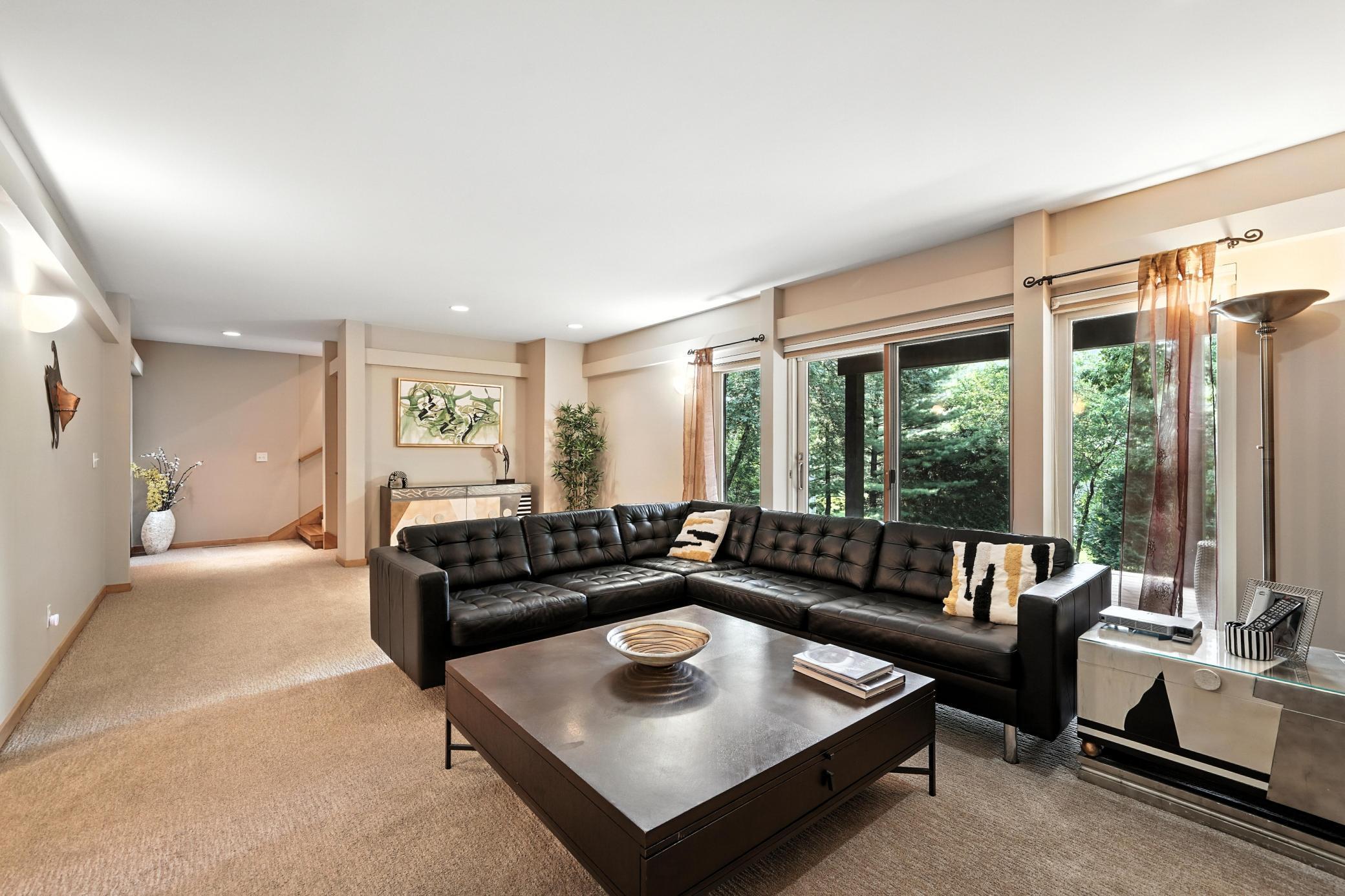 Lower Level Family Room