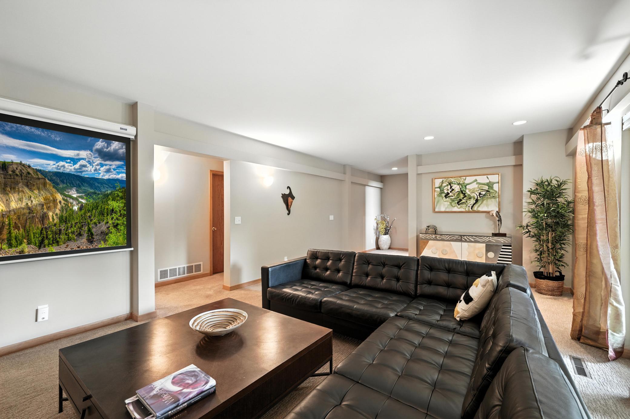 Lower Level Family Room