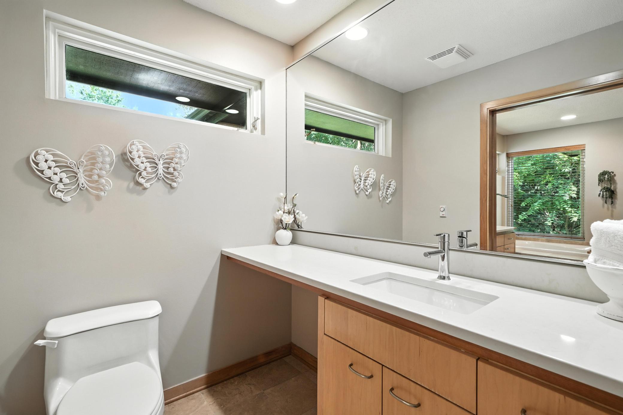 Lower Level Bathroom