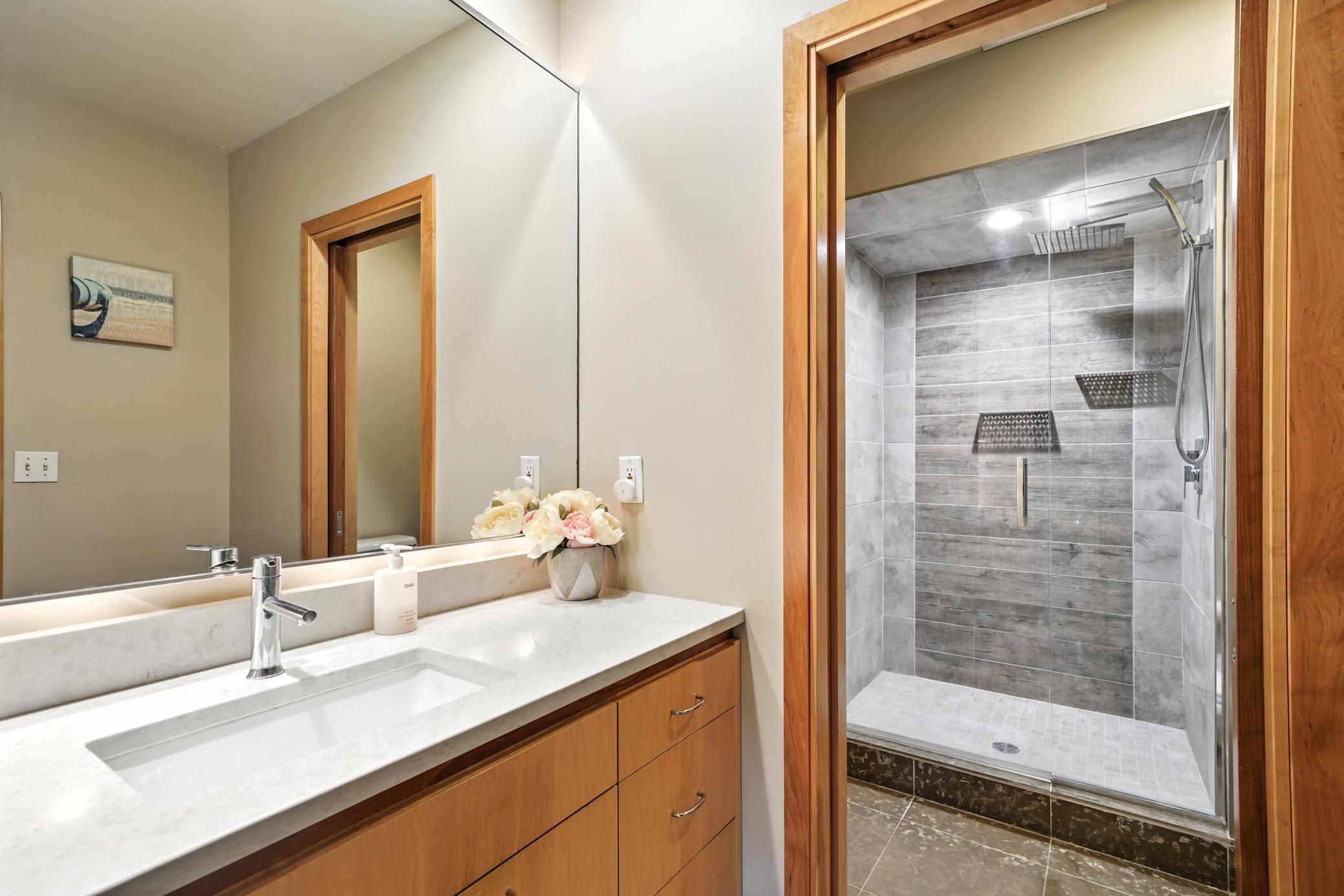 Lower Level Bathroom