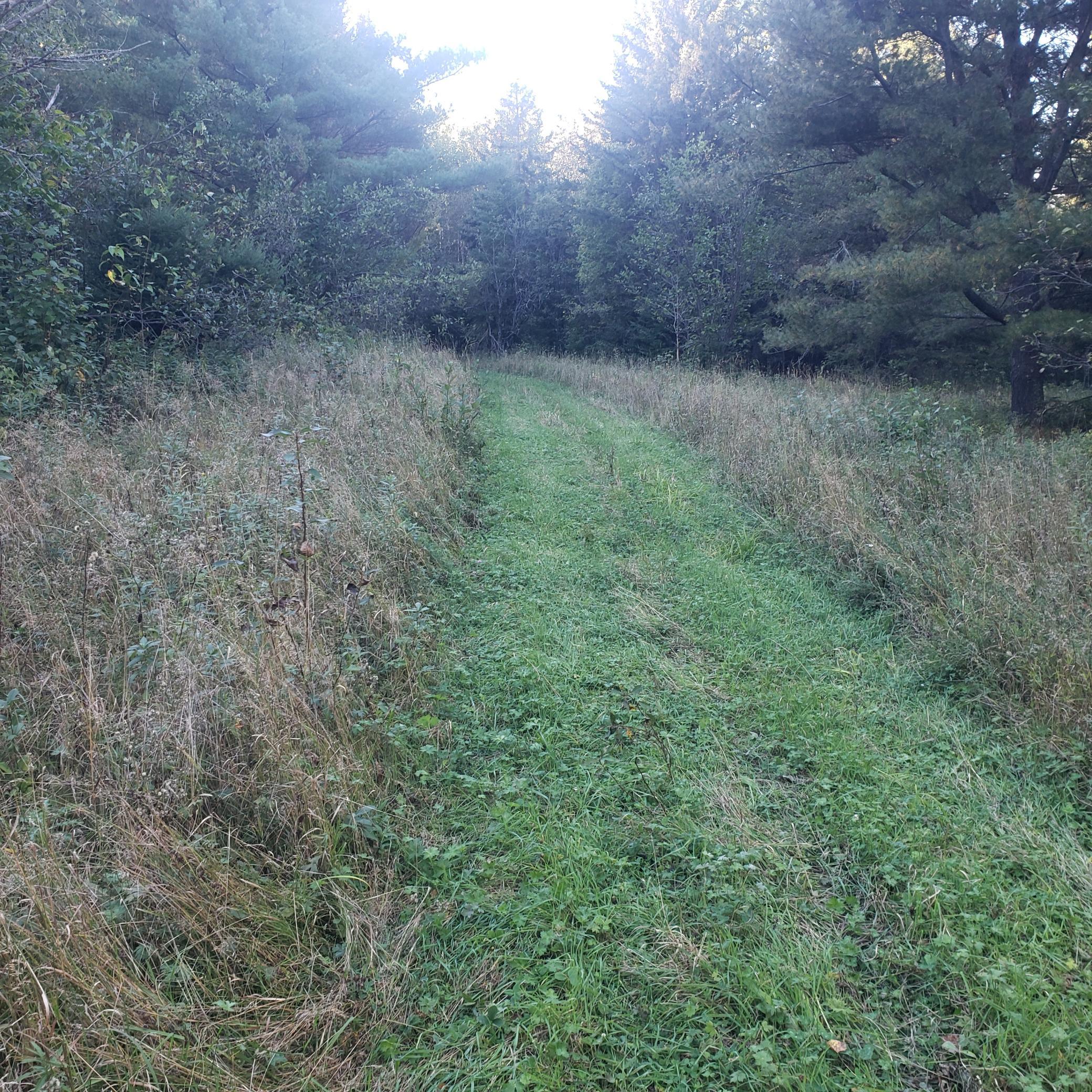 Wooded Trail.jpg