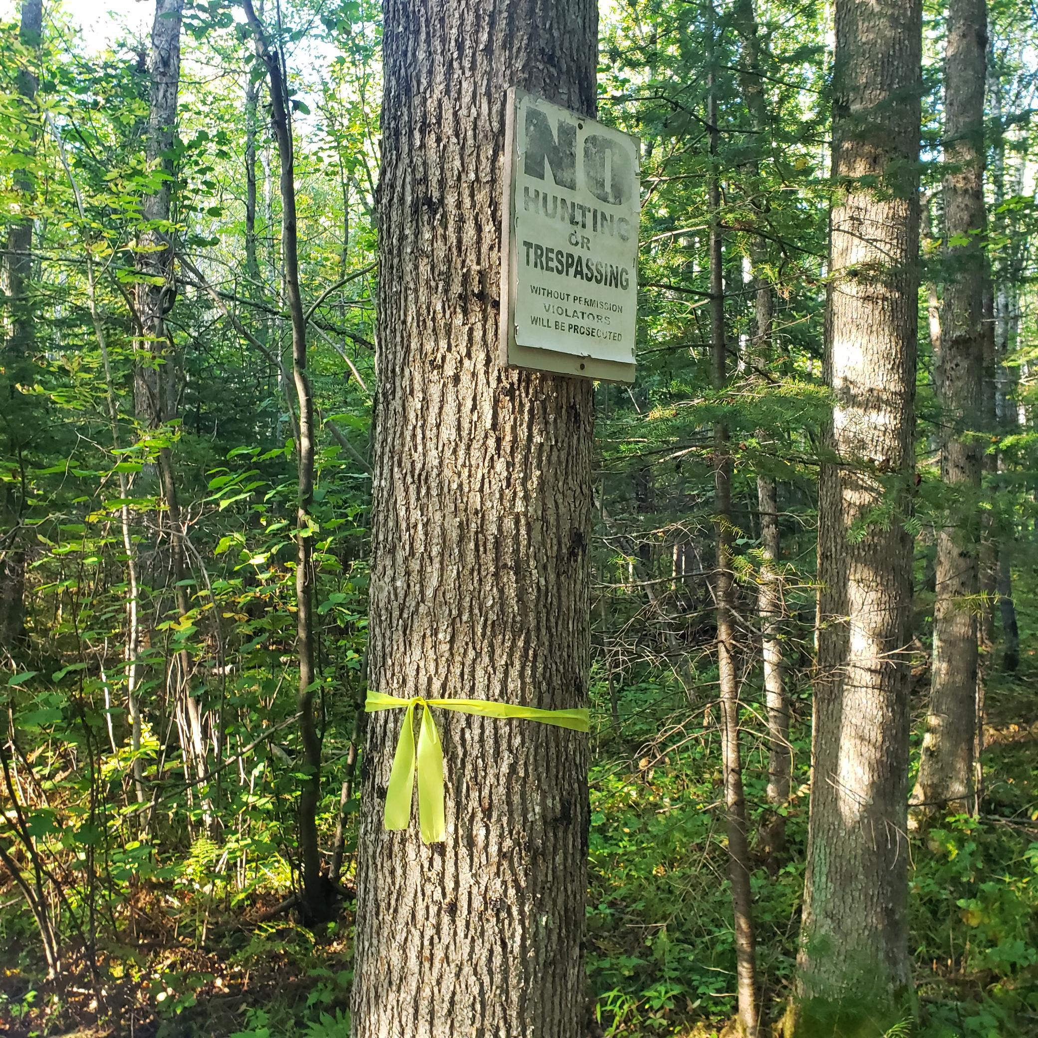 20240920_171810.jpg
