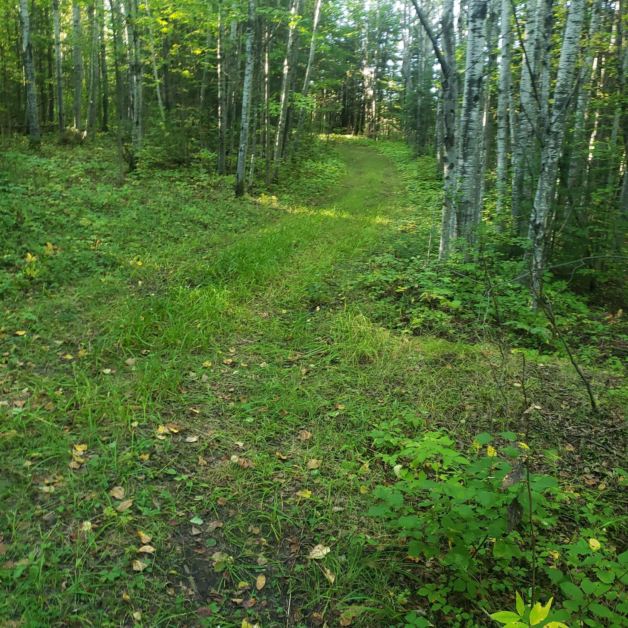 20240920_165823.jpg