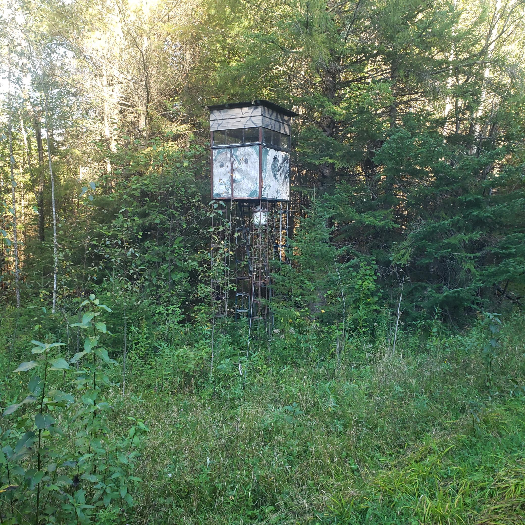 20240920_165502.jpg