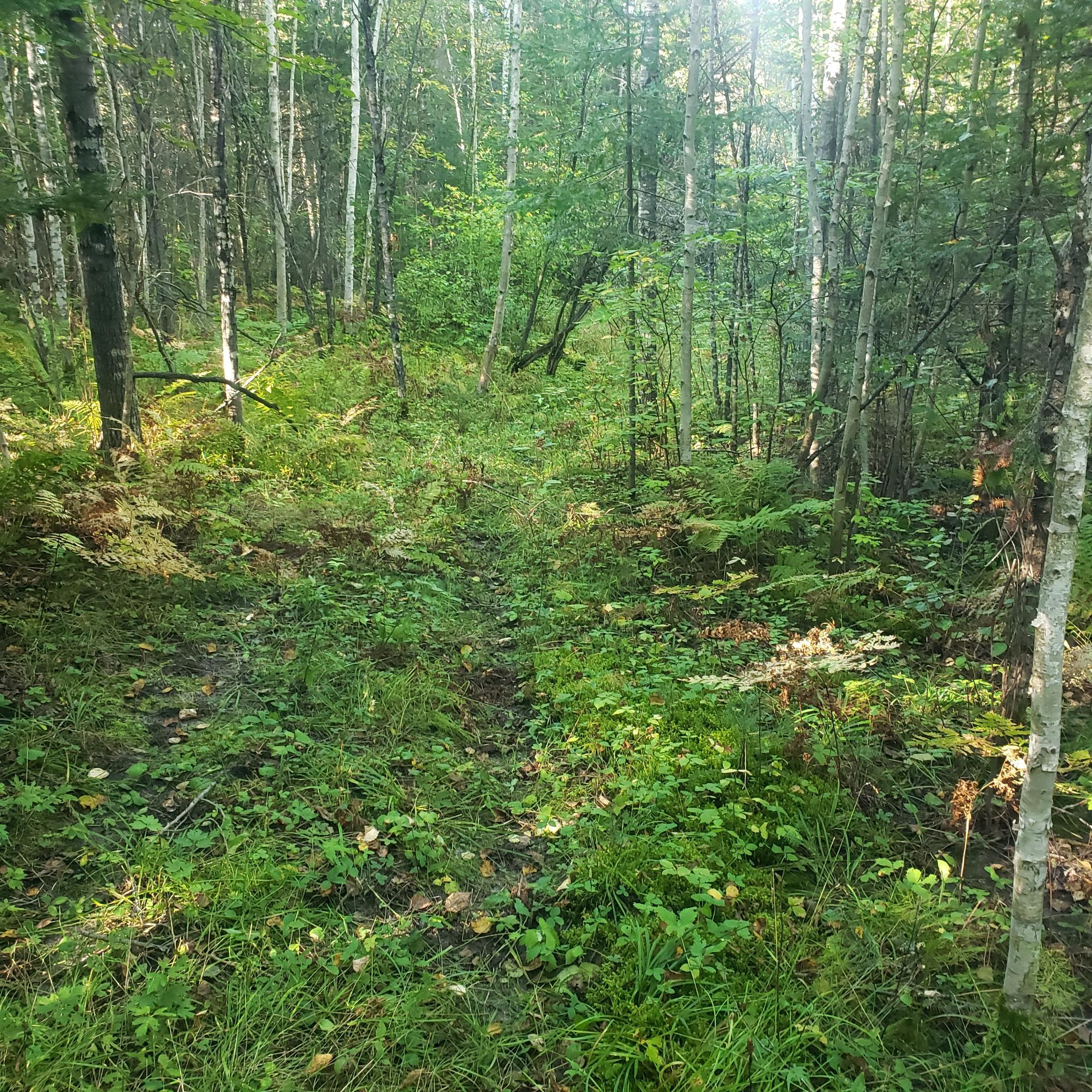 20240920_163322.jpg