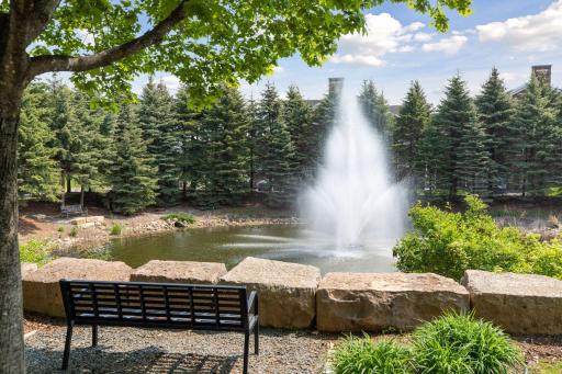 Serene Landscaping Surrounding Community Water Feature.jpg