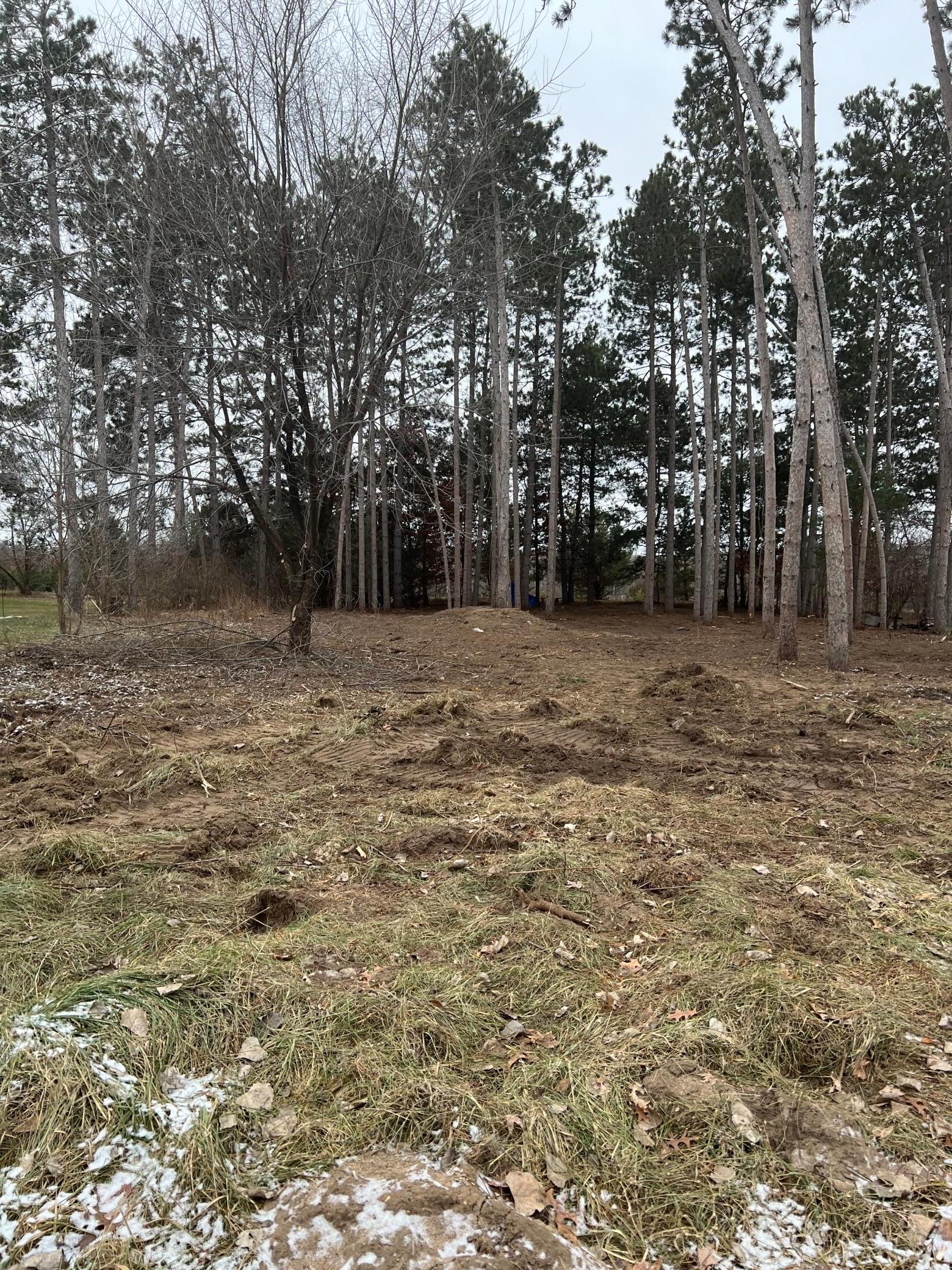 Lot 1.jpg