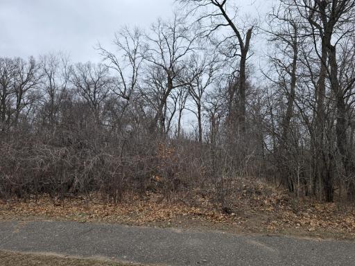 L1,B2 288th Avenue NW, Princeton, MN 55398