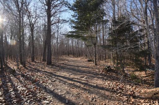 Lots 1-4 Clam Lake Drive, Siren, WI 54872
