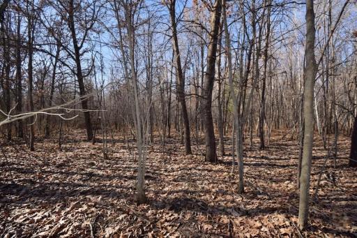 Lots 1-4 Clam Lake Drive, Siren, WI 54872