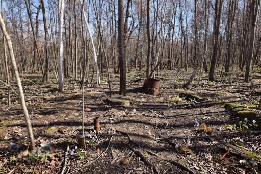 Lots 1-4 Clam Lake Drive, Siren, WI 54872