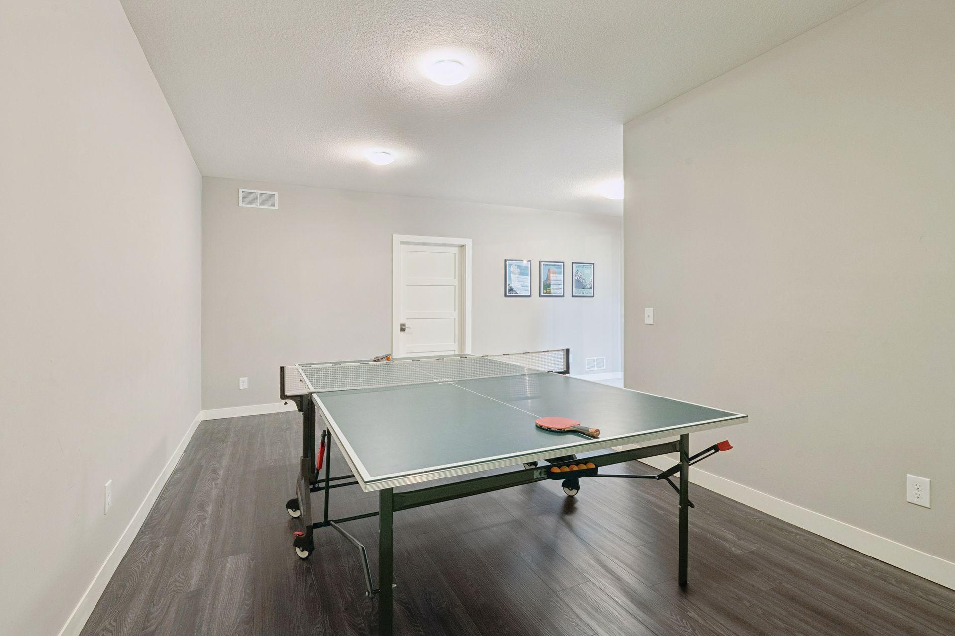 Ping Pong or Hockey Shooting Zone!