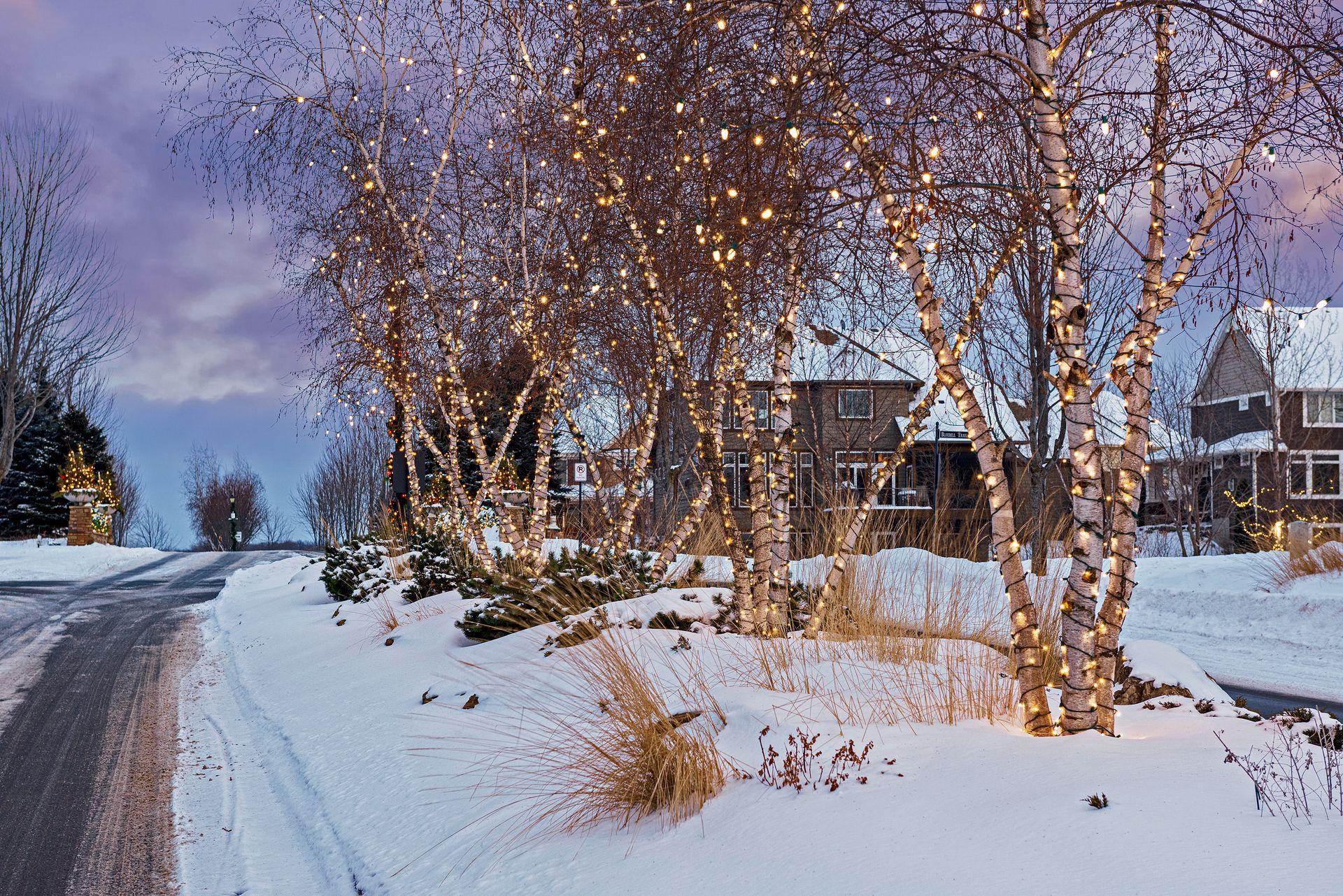 Holiday lights welcome you to the neighborhood in the winter