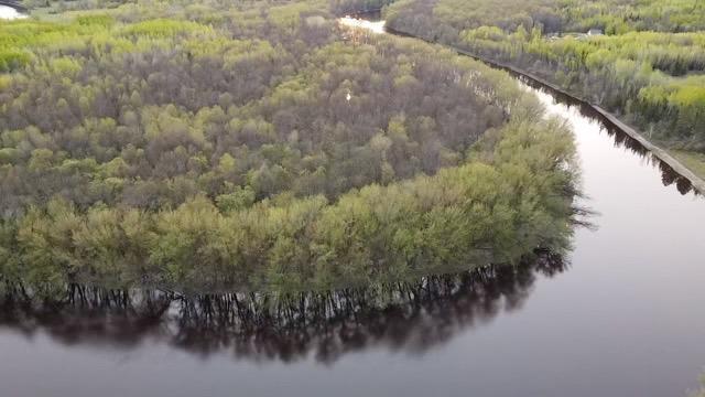 TBD County Road 79, Littlefork, MN 56653