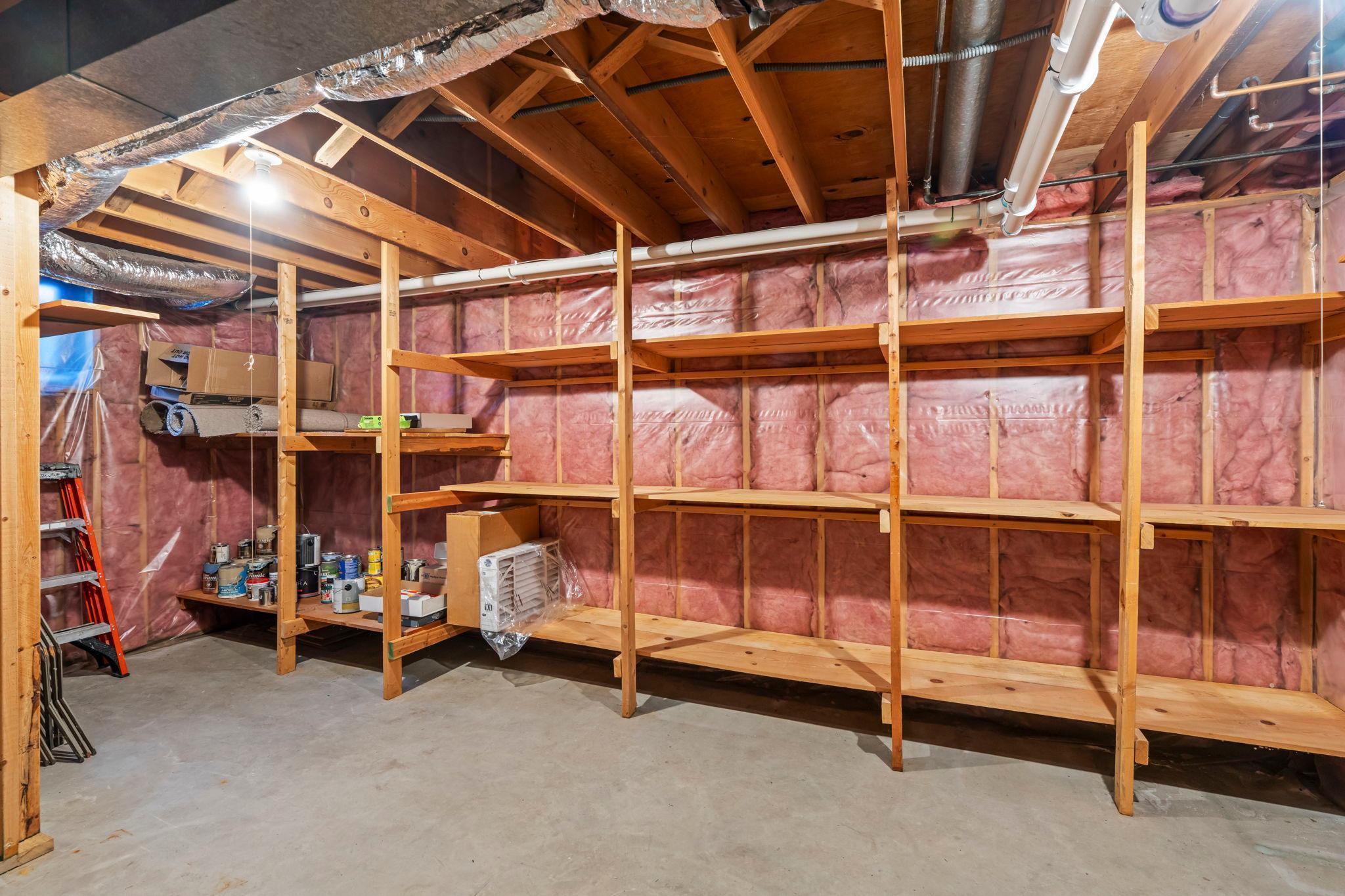 Great basement storage shelving and spaces!
