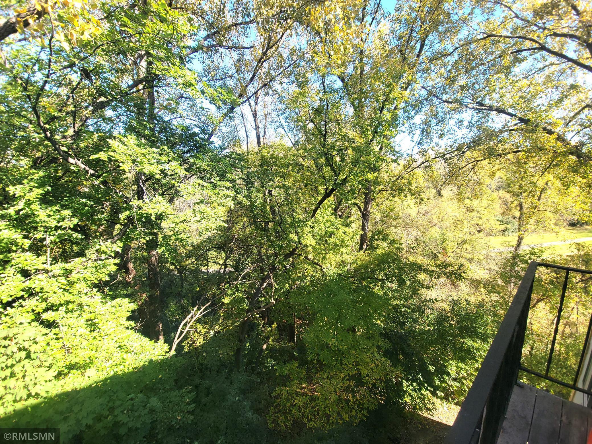 Summer view from the balcony