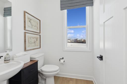 (Photo of actual model) The main level powder bath.