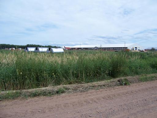 100_0084 - Copy - Copy.JPG