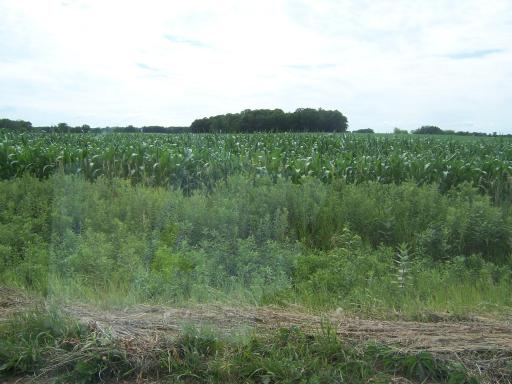 100_0085 - Copy - Copy.JPG