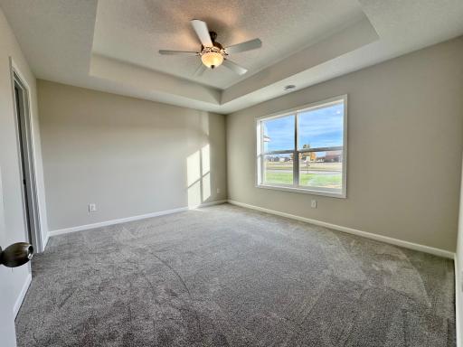 Owner's suite with box vault ceiling and private bath