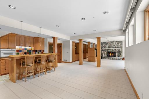 Lower level family room/recreational space
