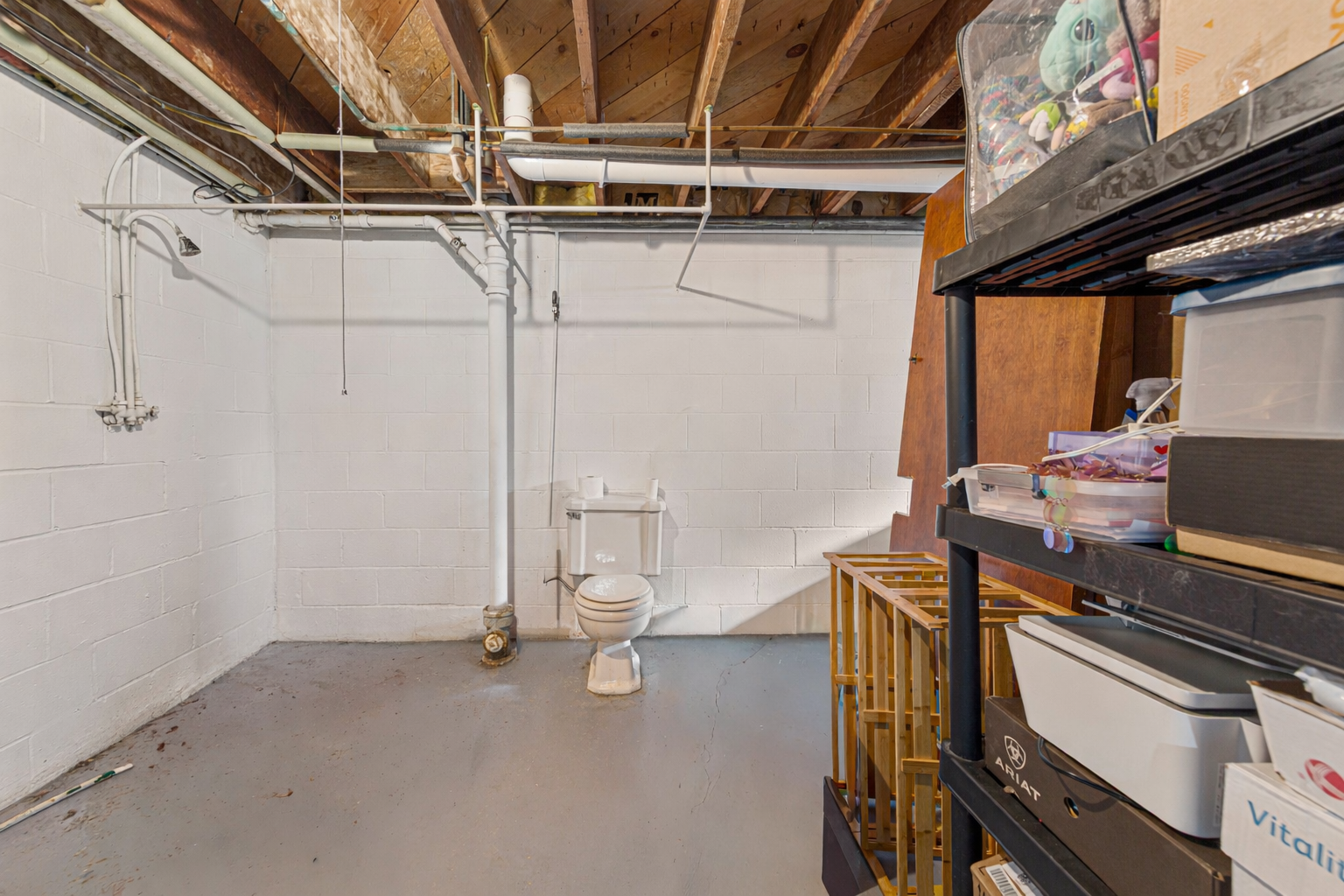 Basement Bathroom