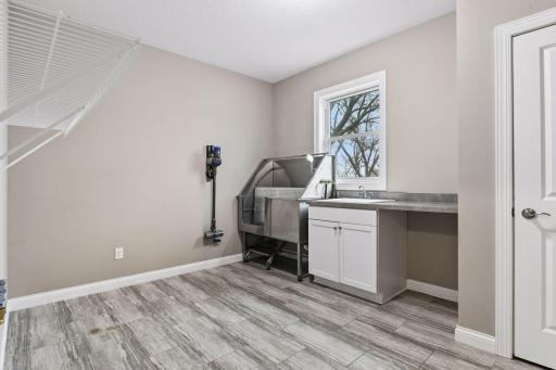 The main level Laundry Room offers a folding counter, laundry sink, broom closet and dog washing station.