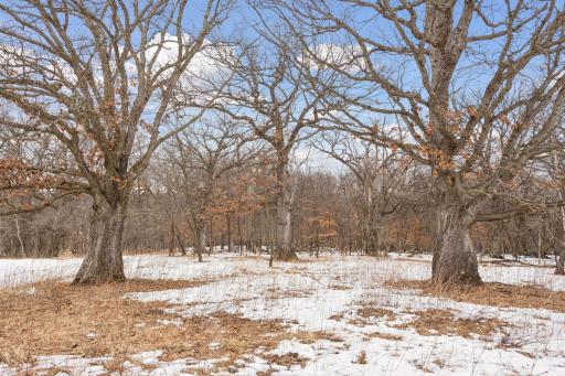 771 Zumbro Oaks Lane NW, Oronoco, MN 55960
